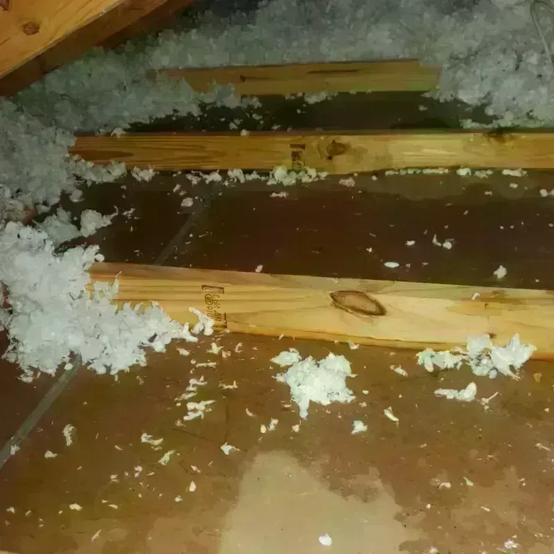 Attic Water Damage in Beaver, PA